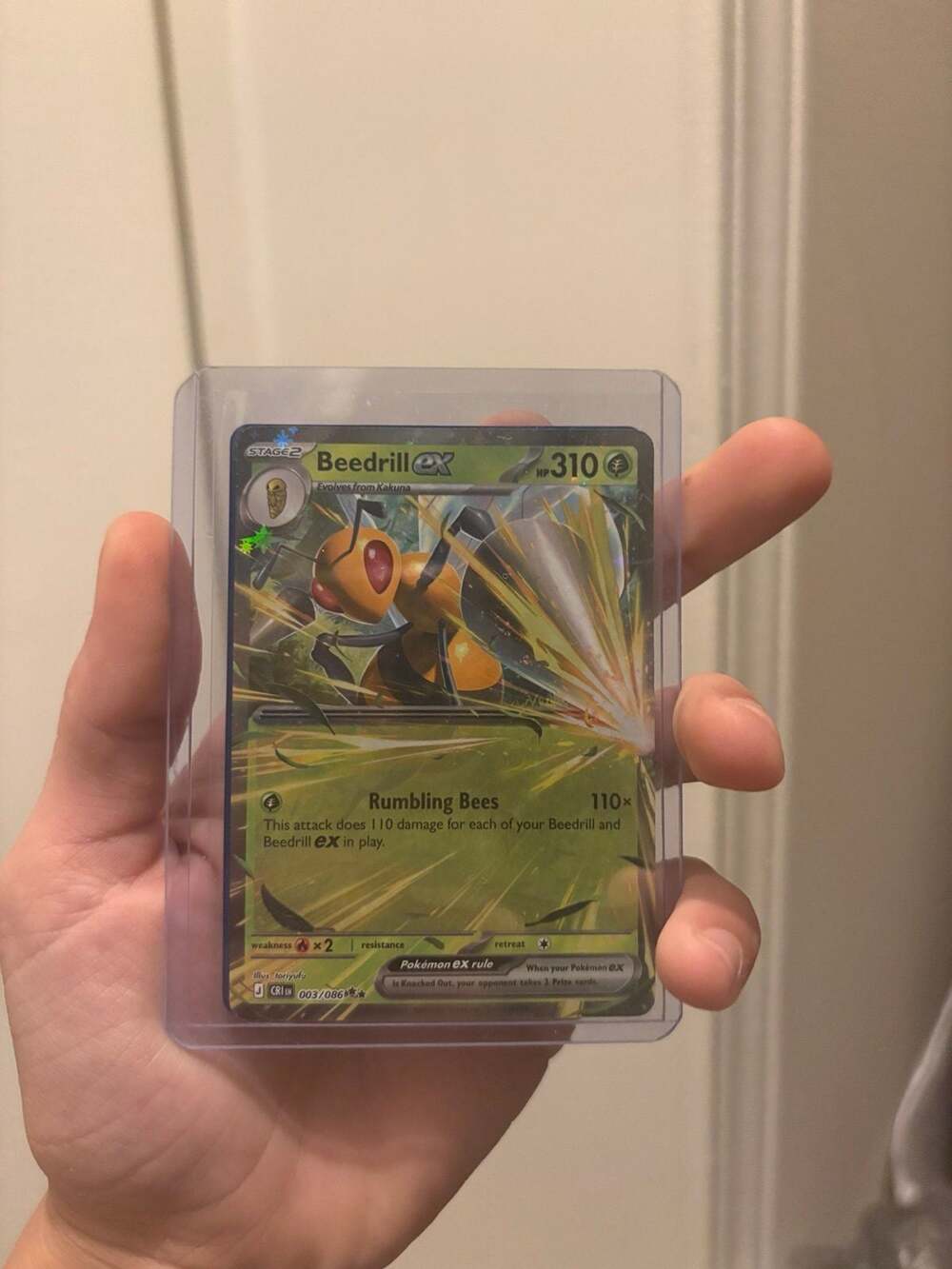 Pokemon TCG Beedrill ex Card